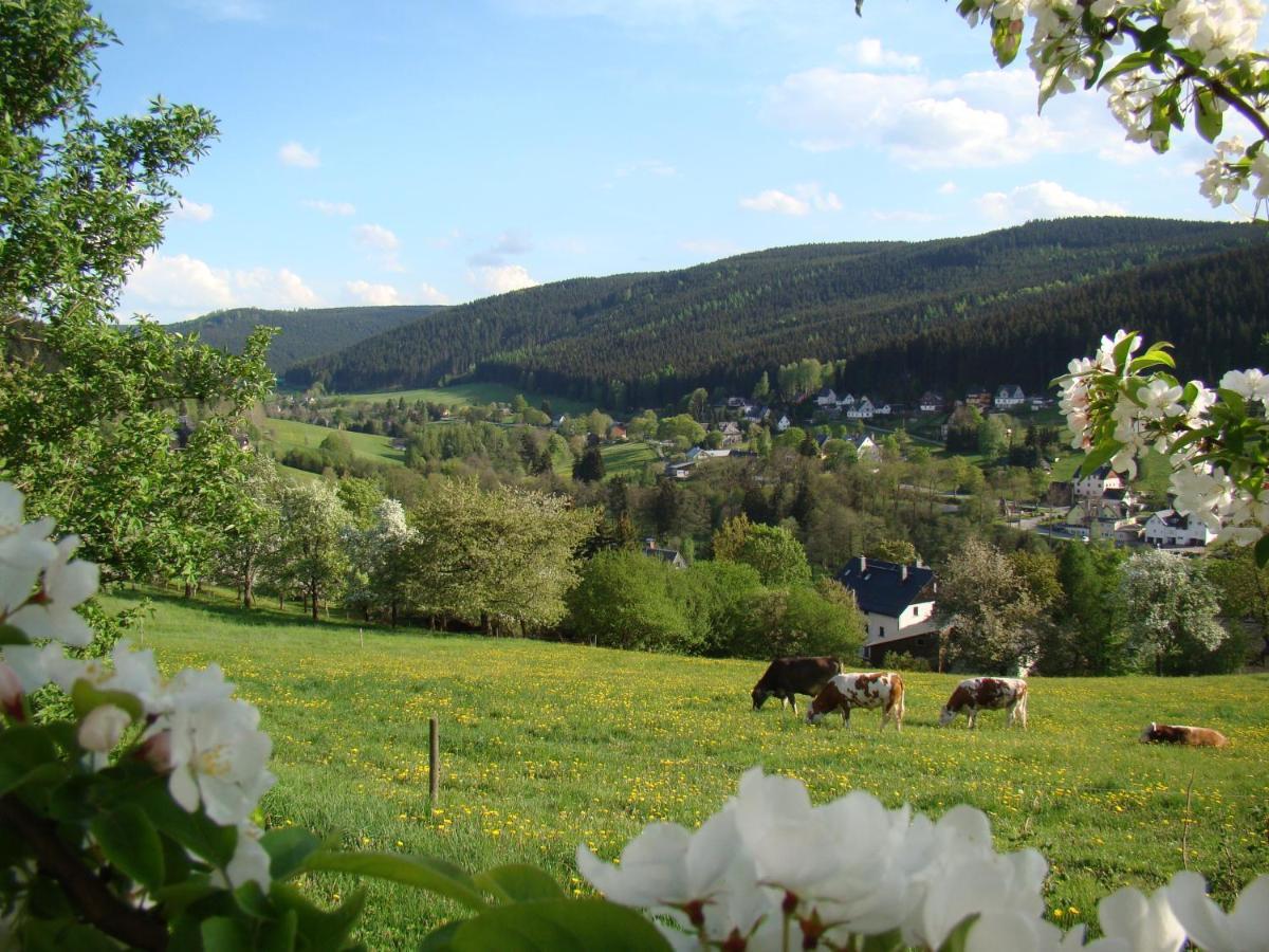 Apartment Lang Breitenbrunn (Saxony)