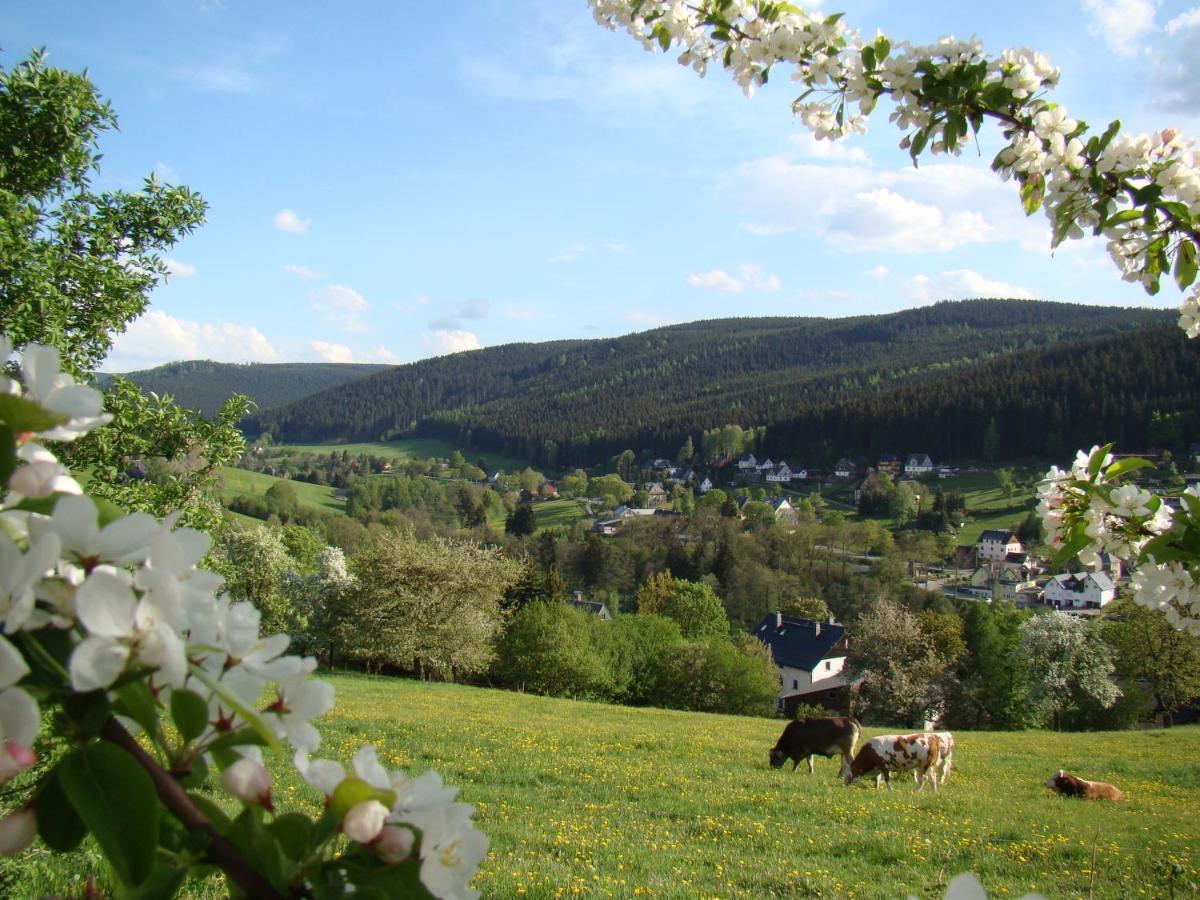 Lang Breitenbrunn (Saxony)